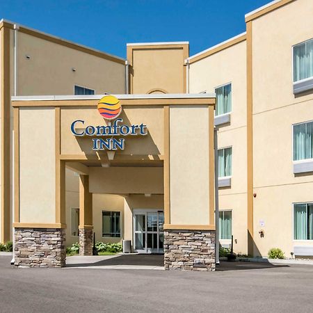 Comfort Inn Apalachin - Binghamton W Route 17 Extérieur photo
