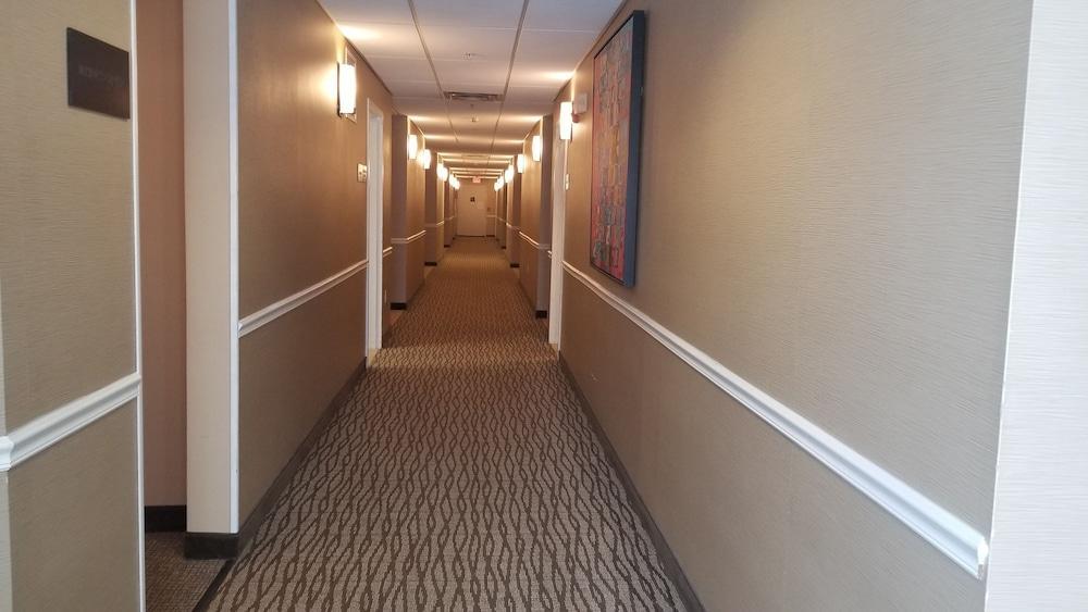 Comfort Inn Apalachin - Binghamton W Route 17 Extérieur photo
