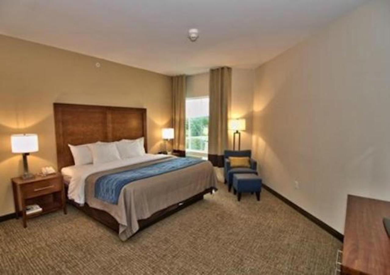 Comfort Inn Apalachin - Binghamton W Route 17 Extérieur photo