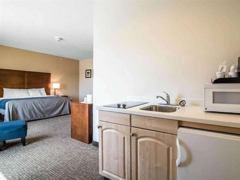 Comfort Inn Apalachin - Binghamton W Route 17 Extérieur photo