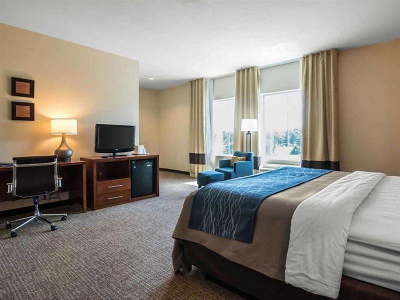 Comfort Inn Apalachin - Binghamton W Route 17 Extérieur photo