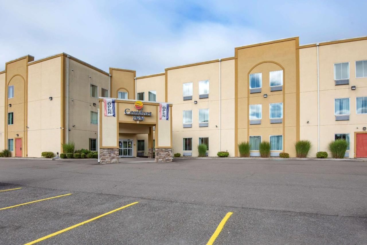 Comfort Inn Apalachin - Binghamton W Route 17 Extérieur photo