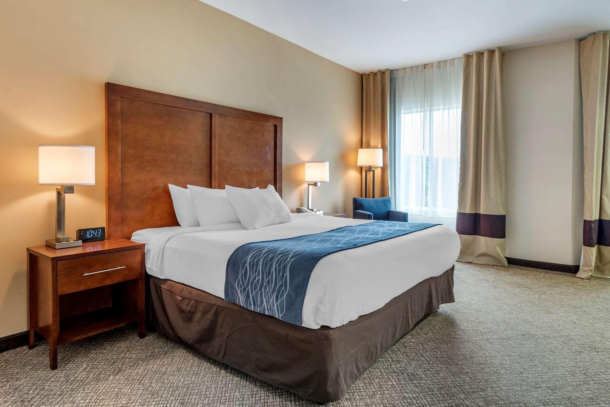 Comfort Inn Apalachin - Binghamton W Route 17 Extérieur photo