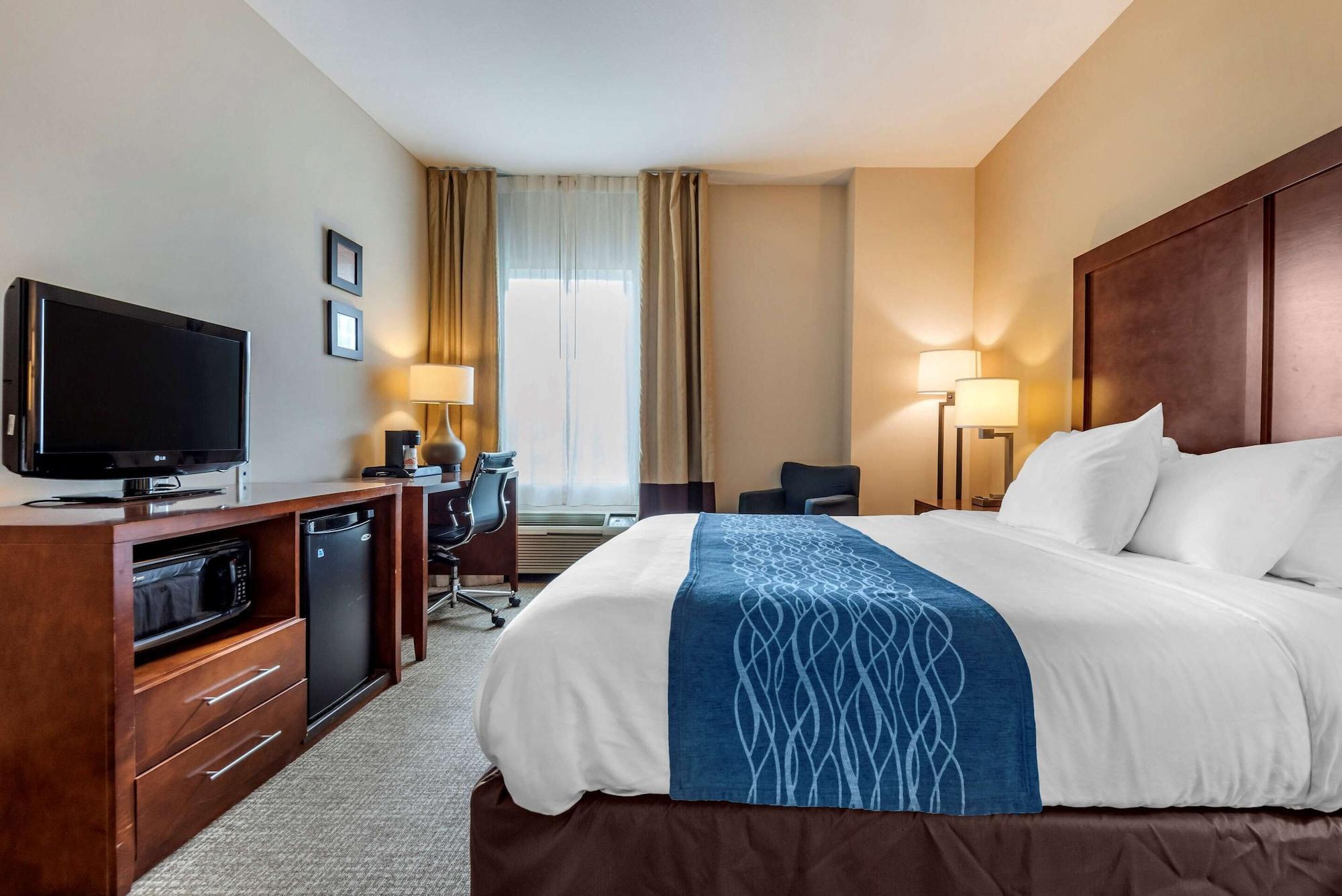 Comfort Inn Apalachin - Binghamton W Route 17 Extérieur photo