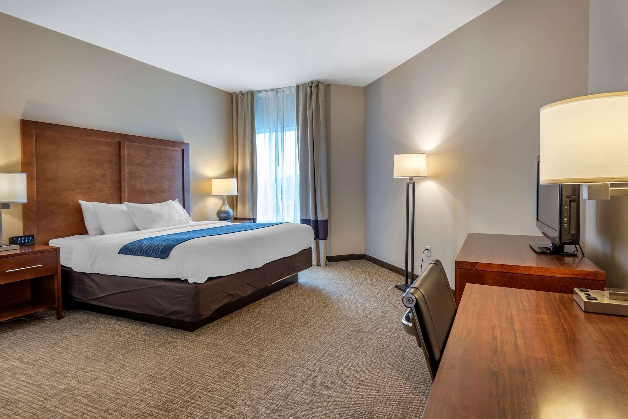 Comfort Inn Apalachin - Binghamton W Route 17 Extérieur photo