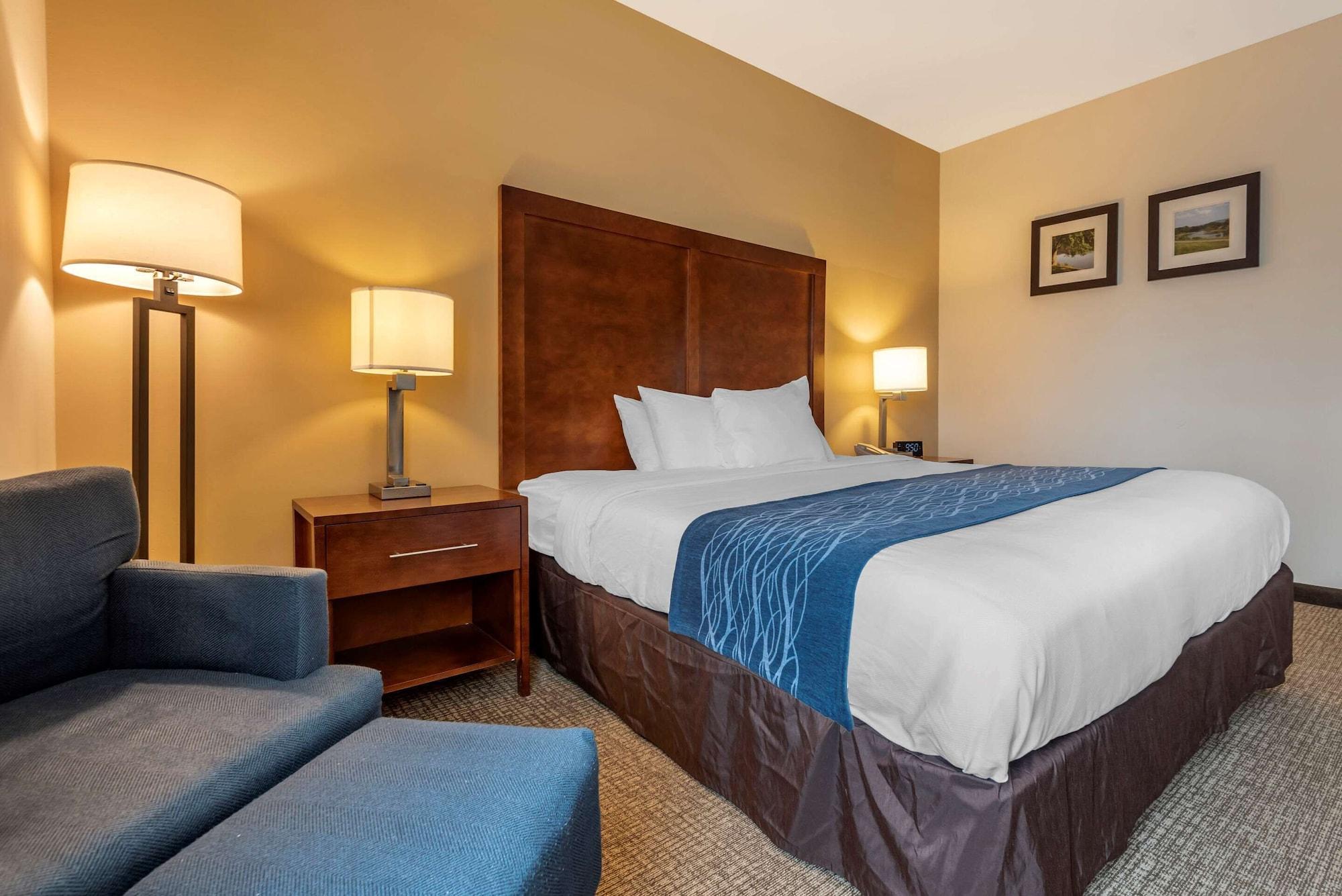Comfort Inn Apalachin - Binghamton W Route 17 Extérieur photo