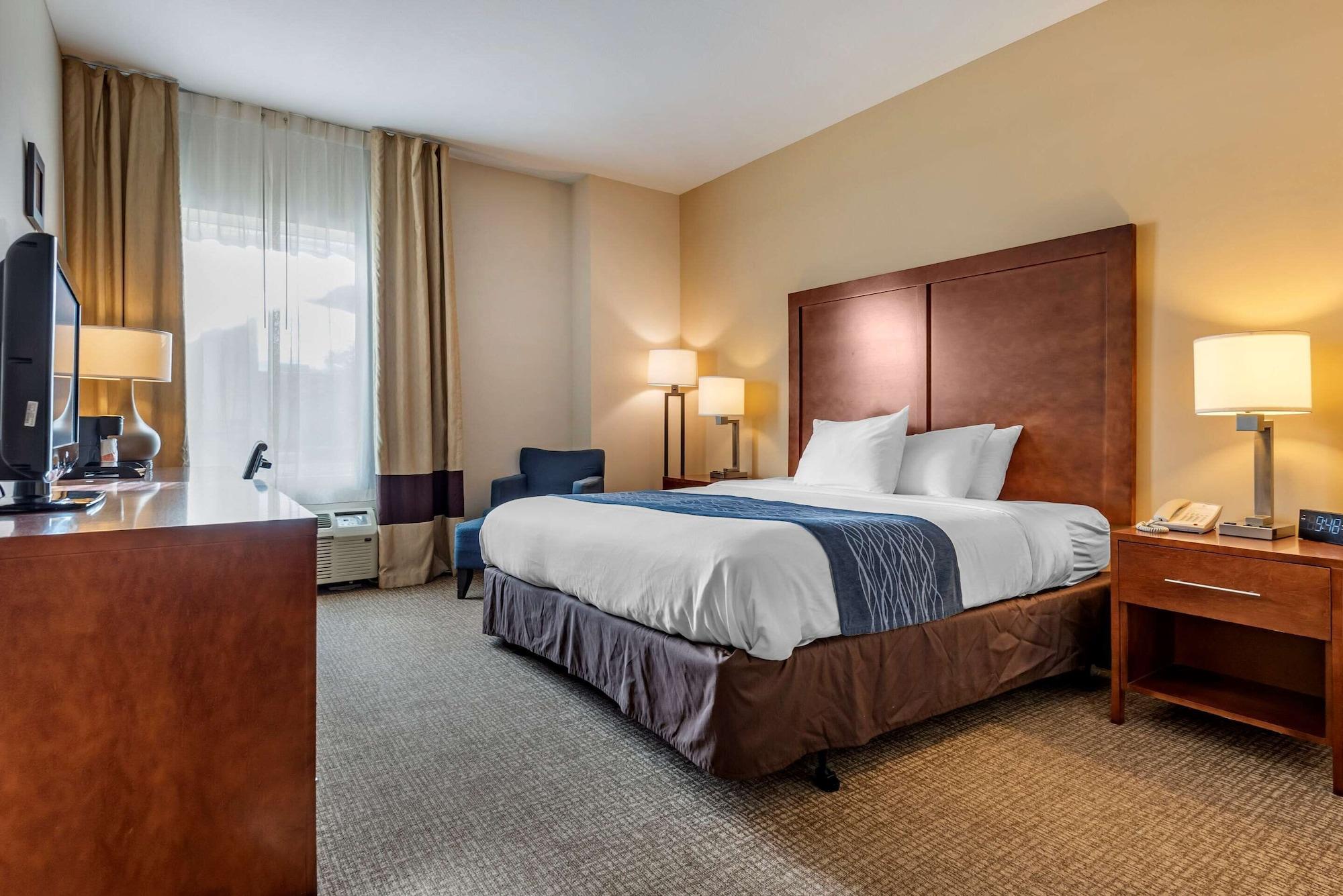 Comfort Inn Apalachin - Binghamton W Route 17 Extérieur photo