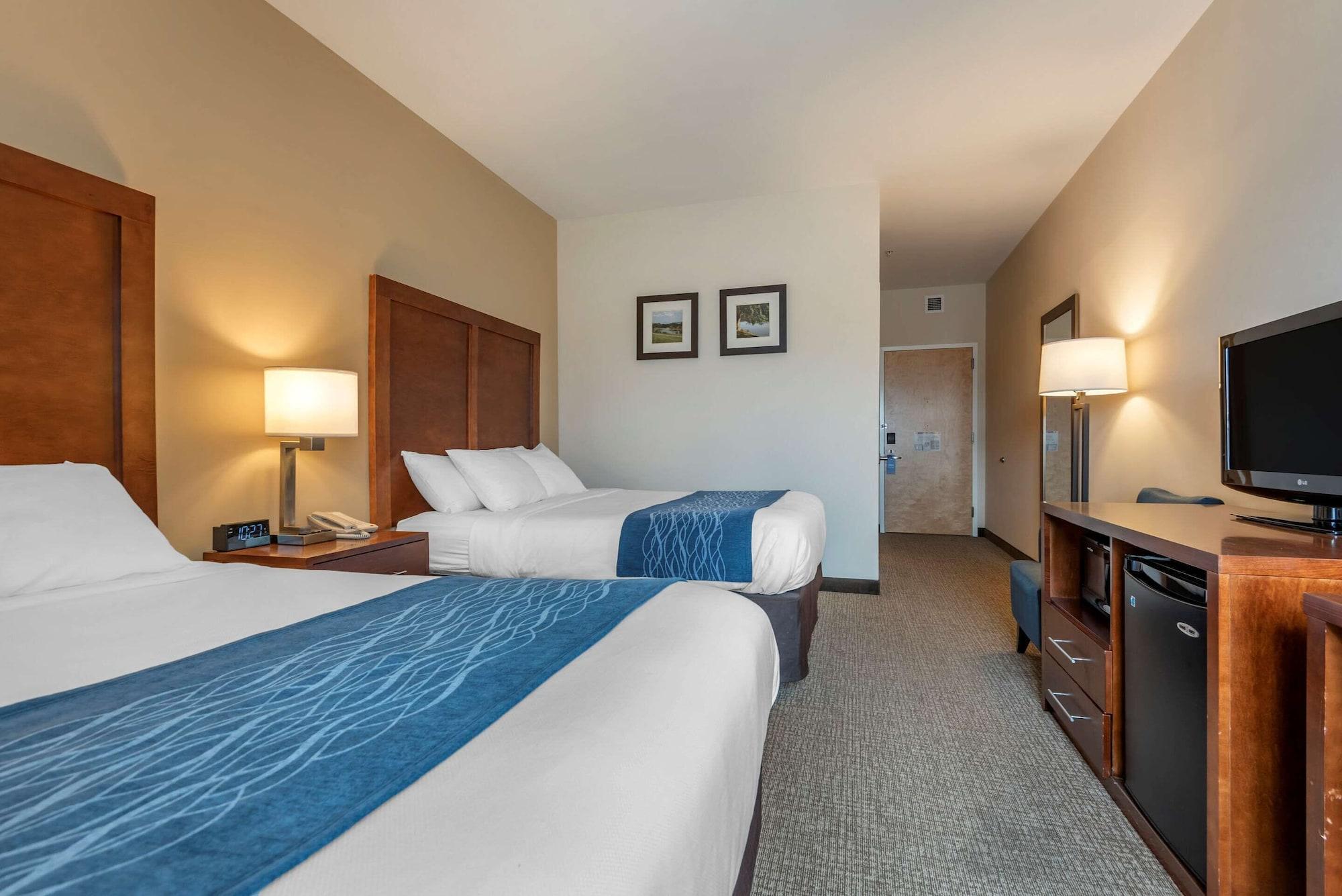 Comfort Inn Apalachin - Binghamton W Route 17 Extérieur photo