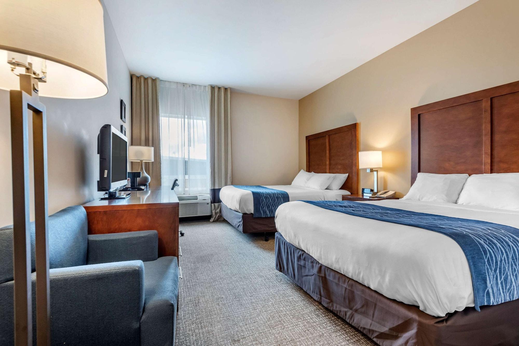 Comfort Inn Apalachin - Binghamton W Route 17 Extérieur photo