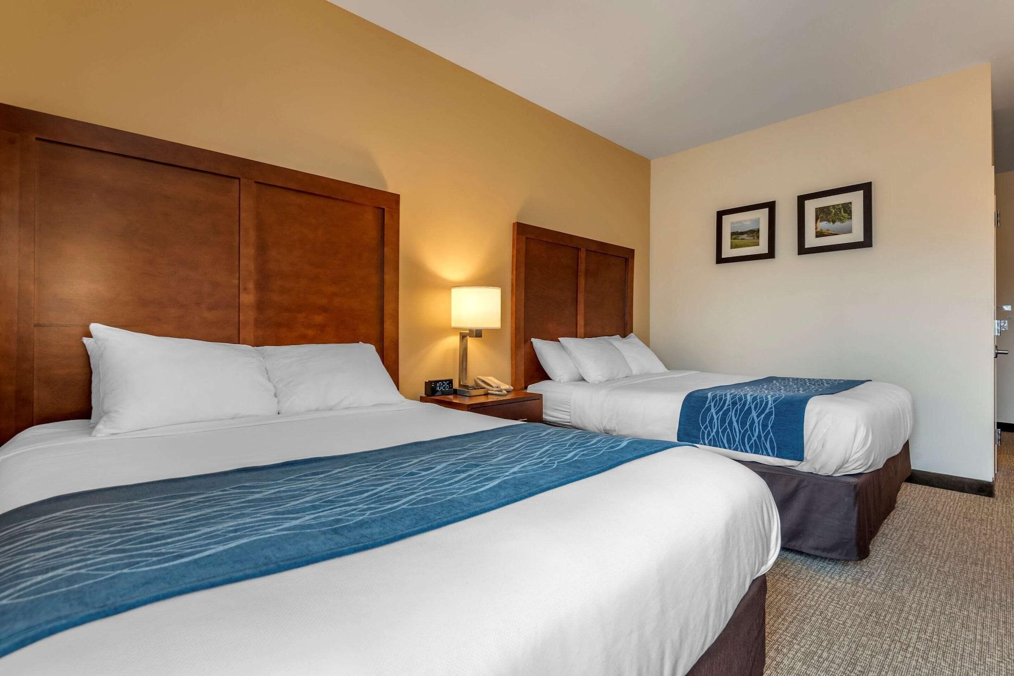 Comfort Inn Apalachin - Binghamton W Route 17 Extérieur photo