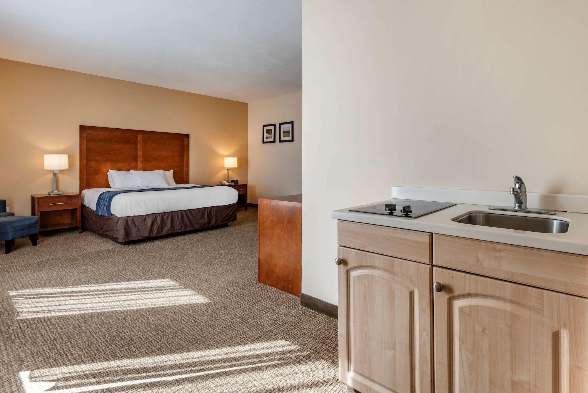 Comfort Inn Apalachin - Binghamton W Route 17 Extérieur photo