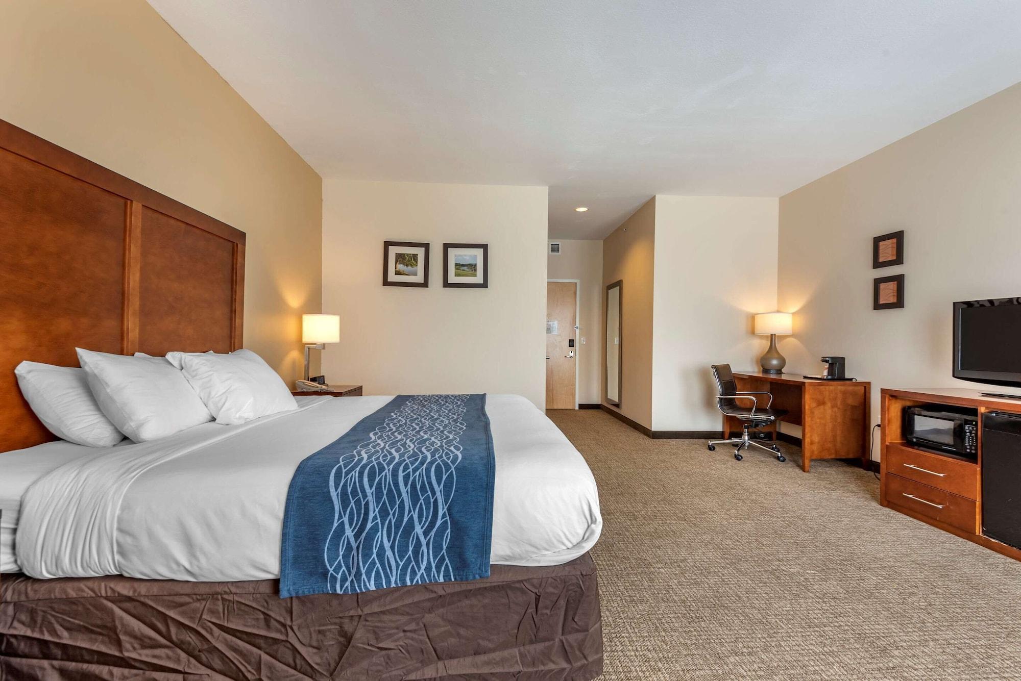 Comfort Inn Apalachin - Binghamton W Route 17 Extérieur photo