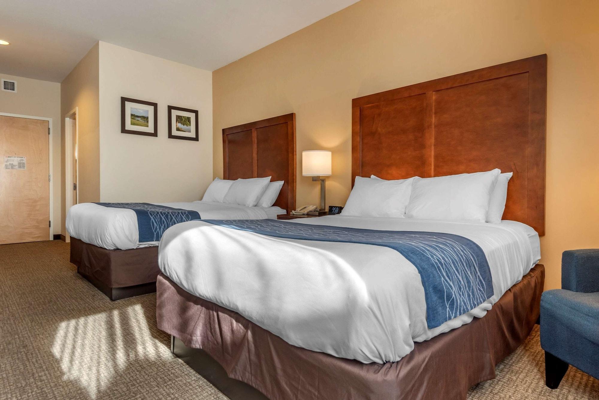 Comfort Inn Apalachin - Binghamton W Route 17 Extérieur photo