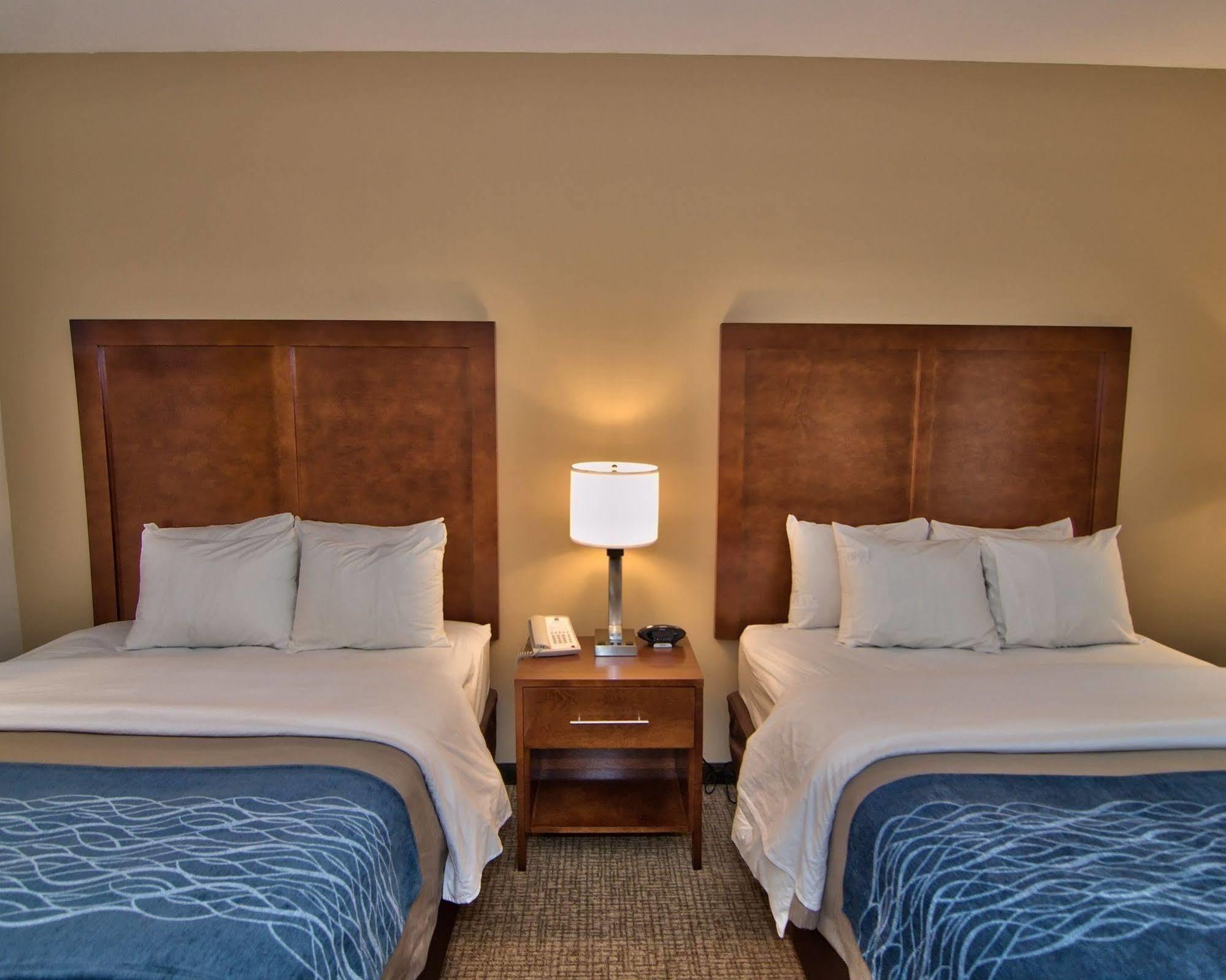 Comfort Inn Apalachin - Binghamton W Route 17 Extérieur photo